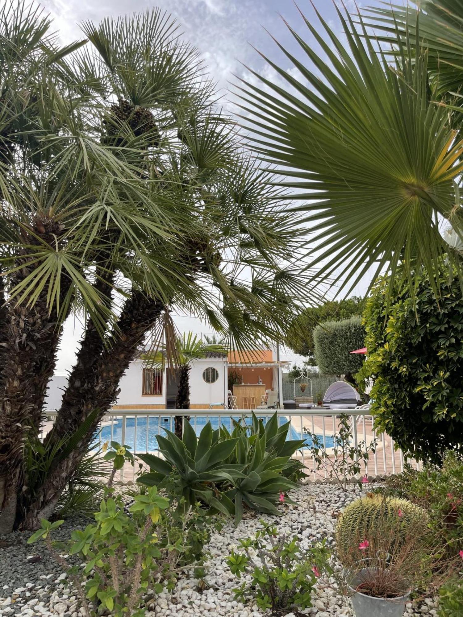 Romantico Wellness Casa Veronica Elche Dış mekan fotoğraf